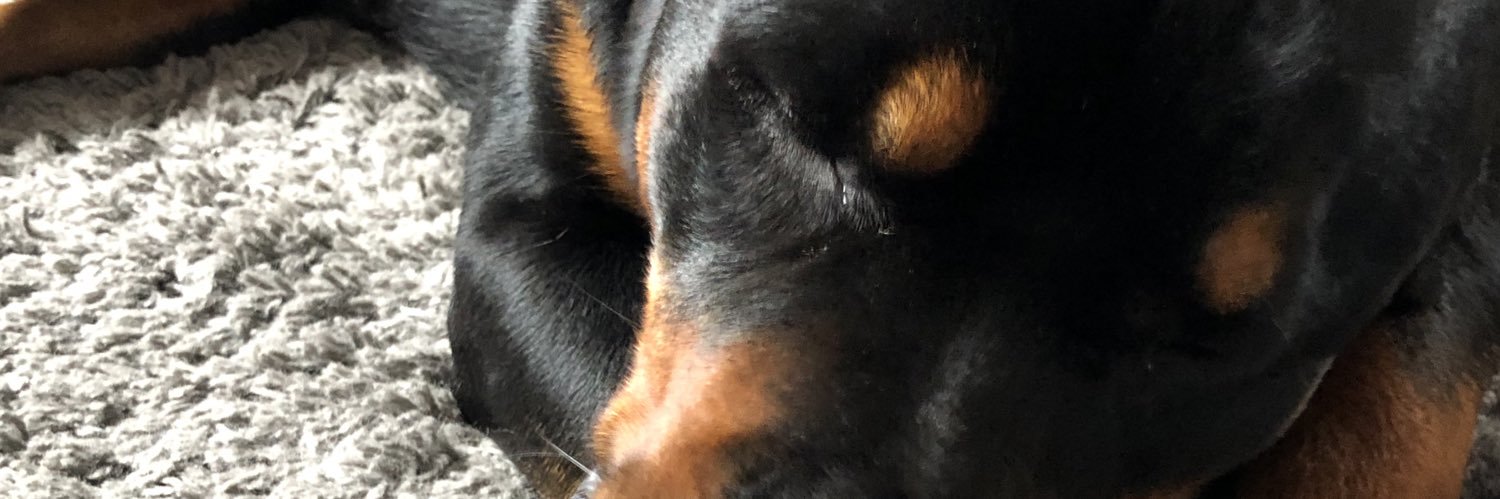PABancroft's profile banner image