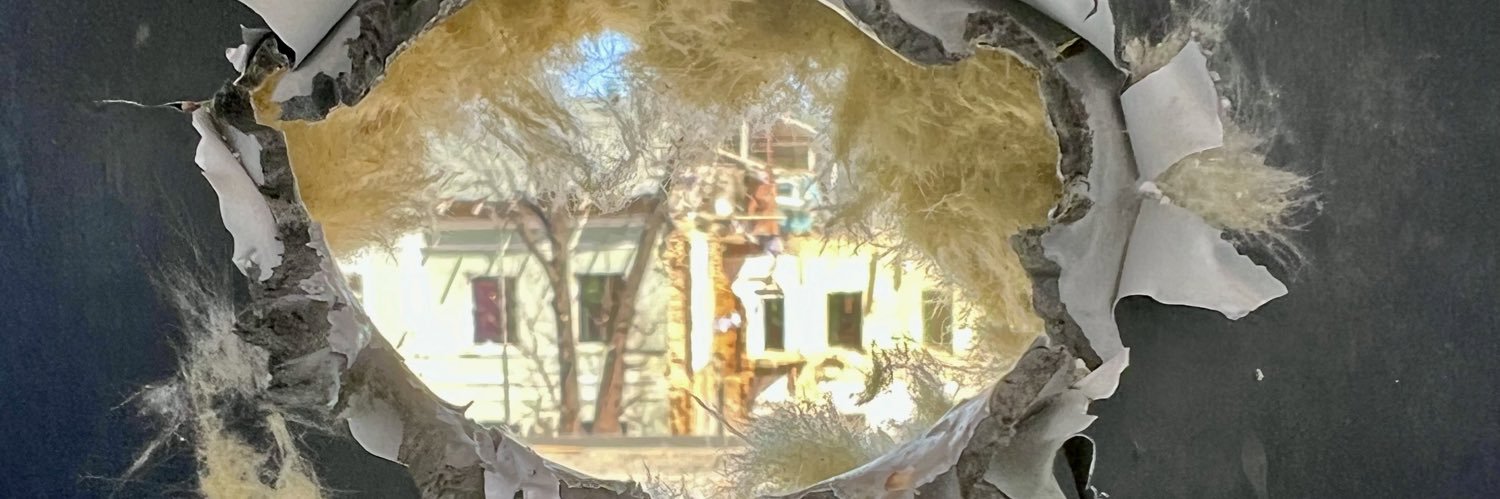 Rolf M H P Holmboe banner