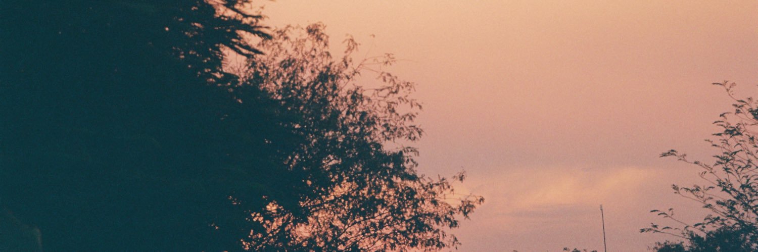 cosmiclifee's profile banner image