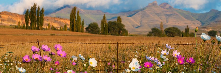 Monique_Naude's profile banner image