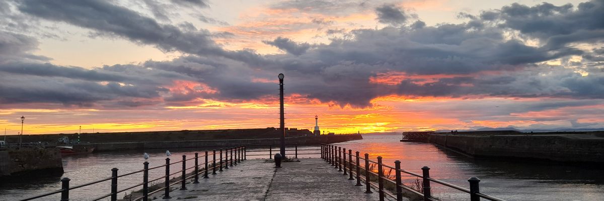 Lisa Cattanach banner