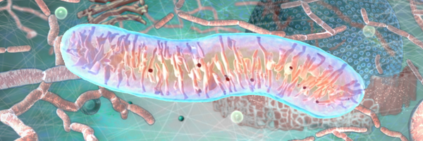 MRC_MBU Profile Banner