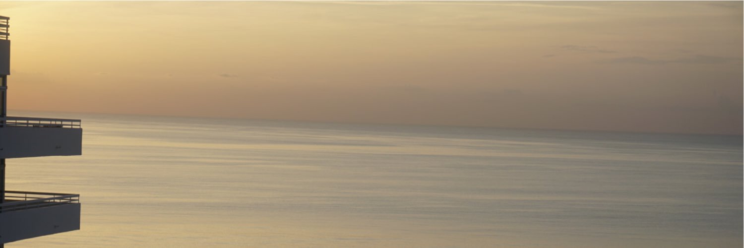 Lemisegra's profile banner image