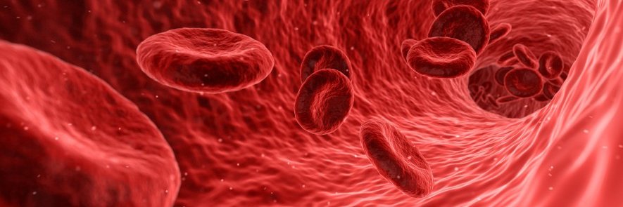 Primary Care Cancer Group banner