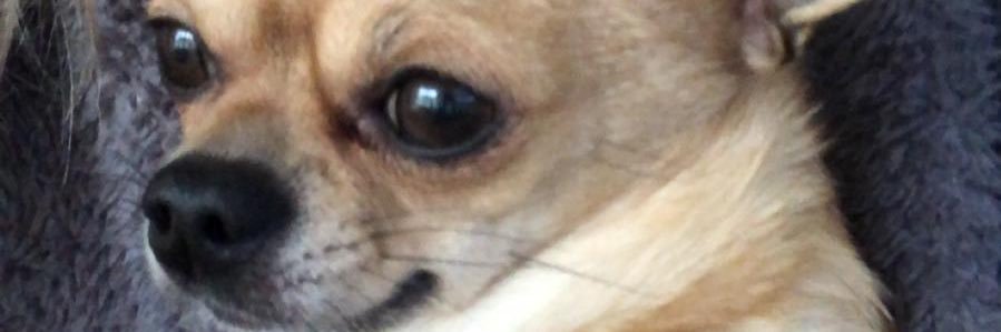 Keithallmark's profile banner image