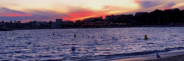 nadiamarokia's profile banner image