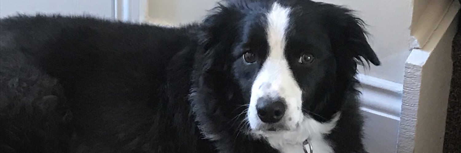 SamStead23's profile banner image