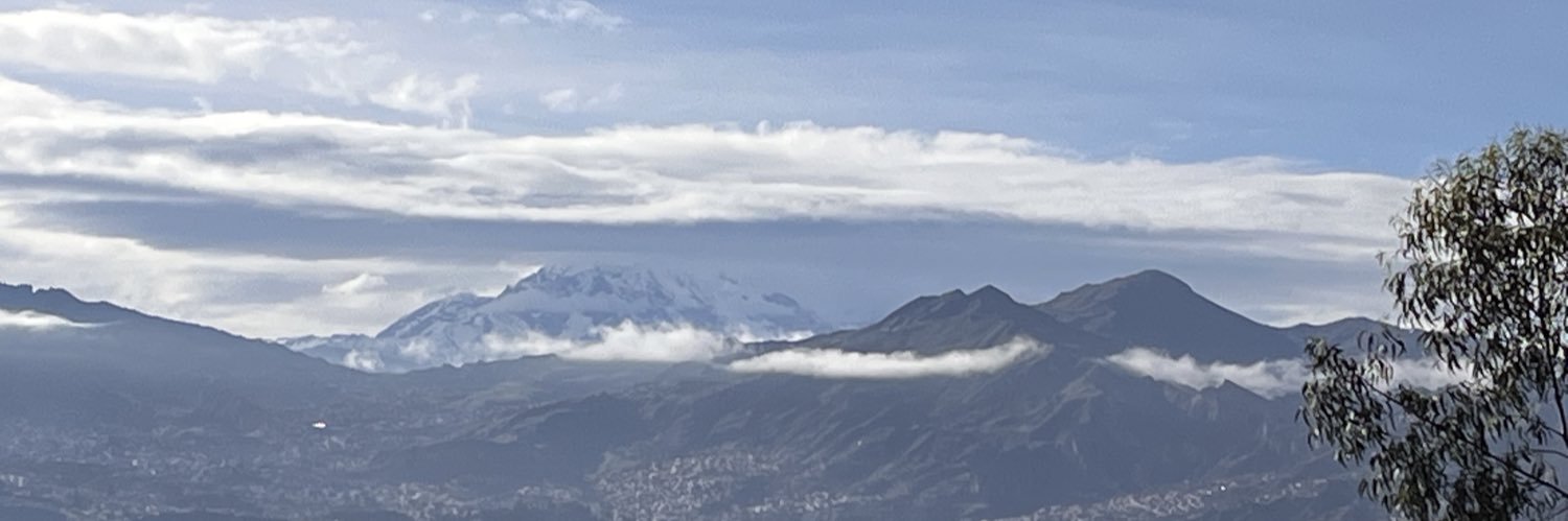 Cecilia Requena Z. banner