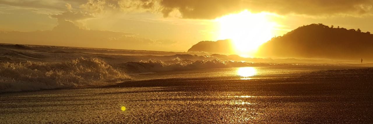 MaVicky0's profile banner image