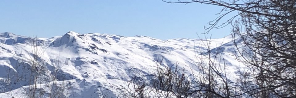PollinchenO's profile banner image