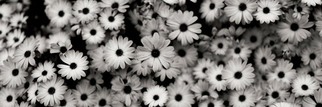 anneeloouise's profile banner image