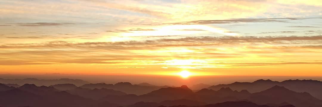 Dr Apila Sangtam banner