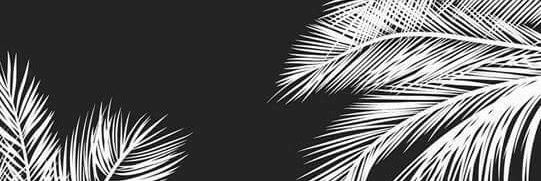 s0Sloth's profile banner image