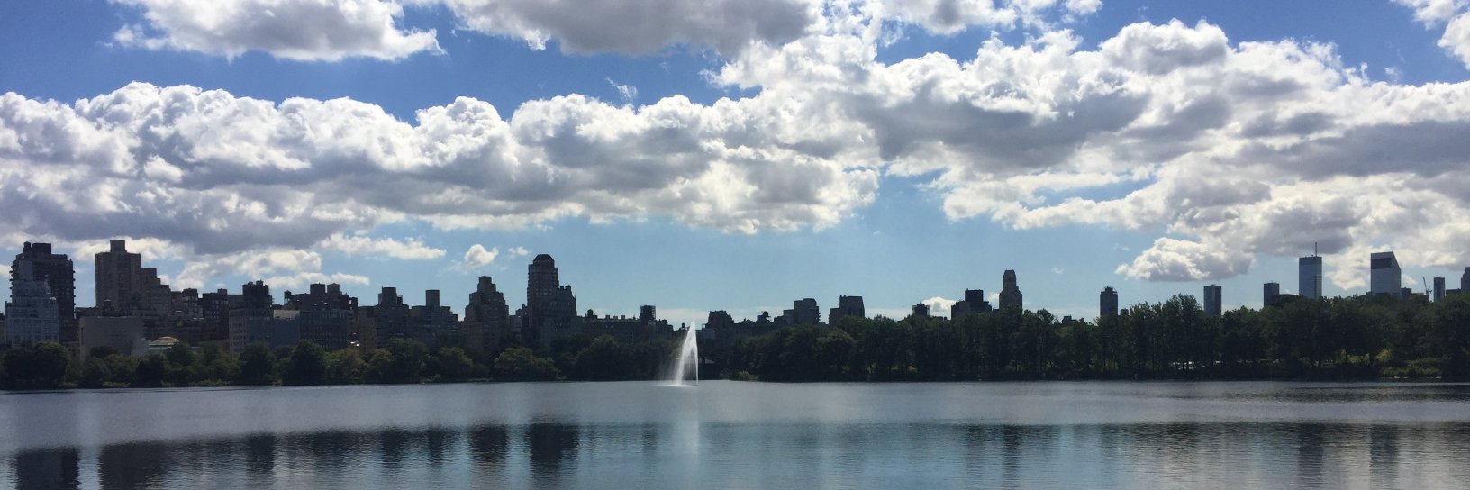 Michael Chapnick banner