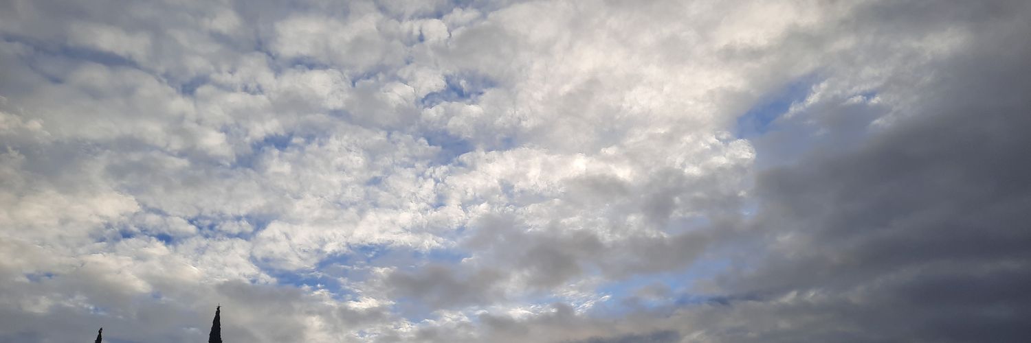 lorenaricardez's profile banner image