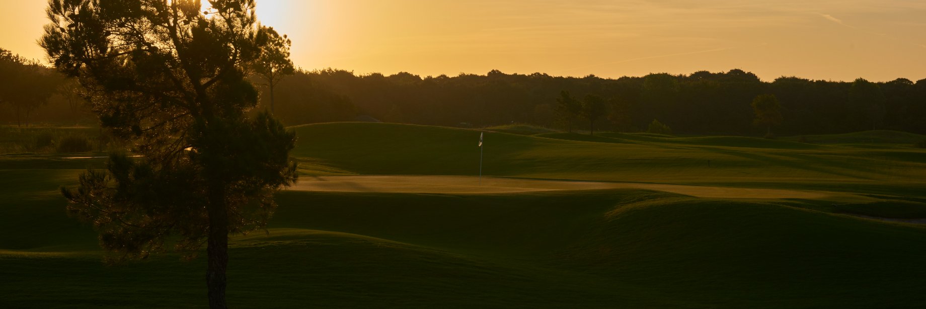 WinStar Golf banner