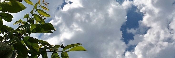 m0ii5's profile banner image