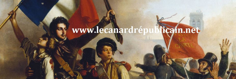 LCanardR's profile banner image