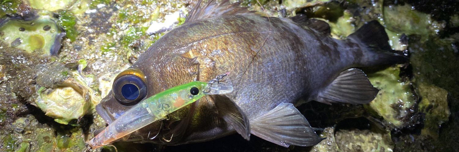 山崎 正人 banner