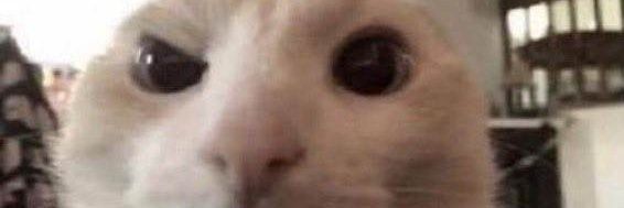 scumgregory's profile banner image