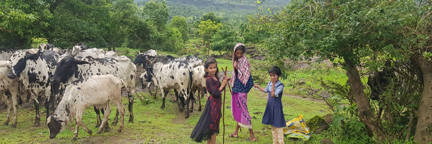 Chris J Kettle 🌳🌳🌳🌲🌲🌲🌴🌴🌴🍁🍂🍃 banner