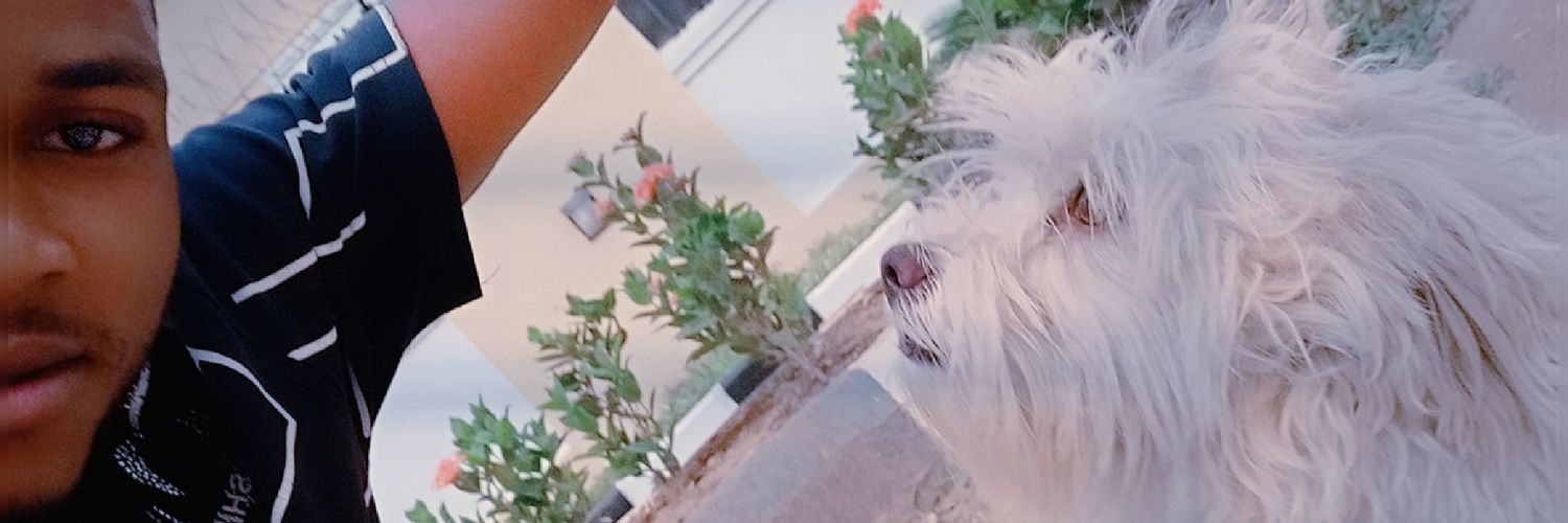EUceey's profile banner image