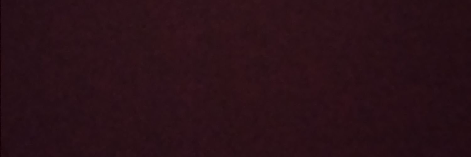 steshateza's profile banner image