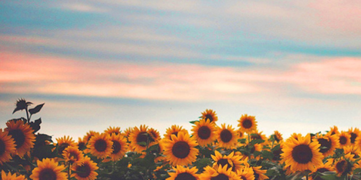 lynds_88's profile banner image