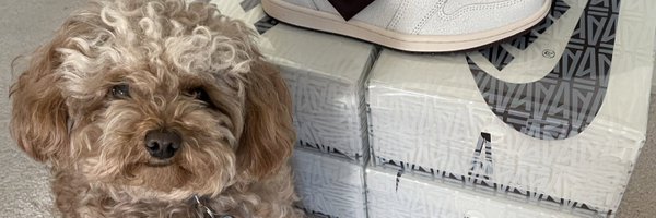 britt_vo Profile Banner