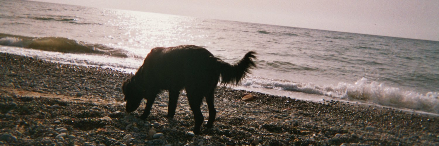 mrmaitane's profile banner image