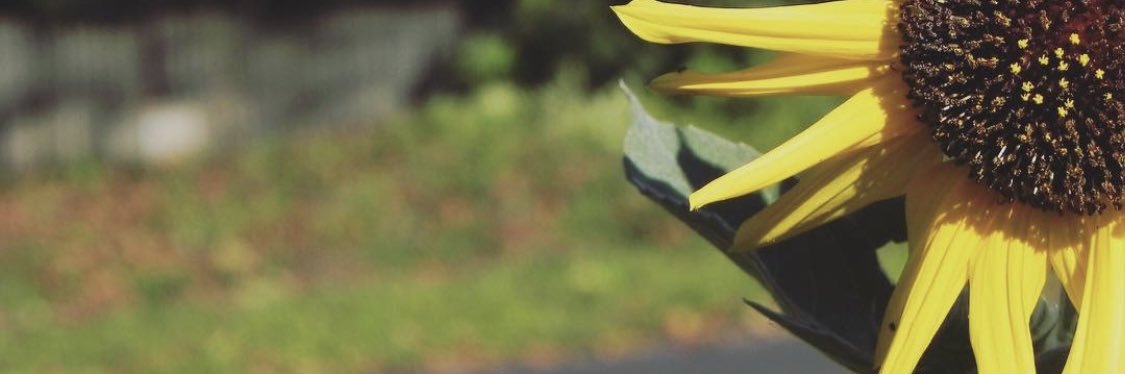 sora_Iller's profile banner image