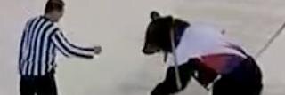 BrownBearsHC's profile banner image