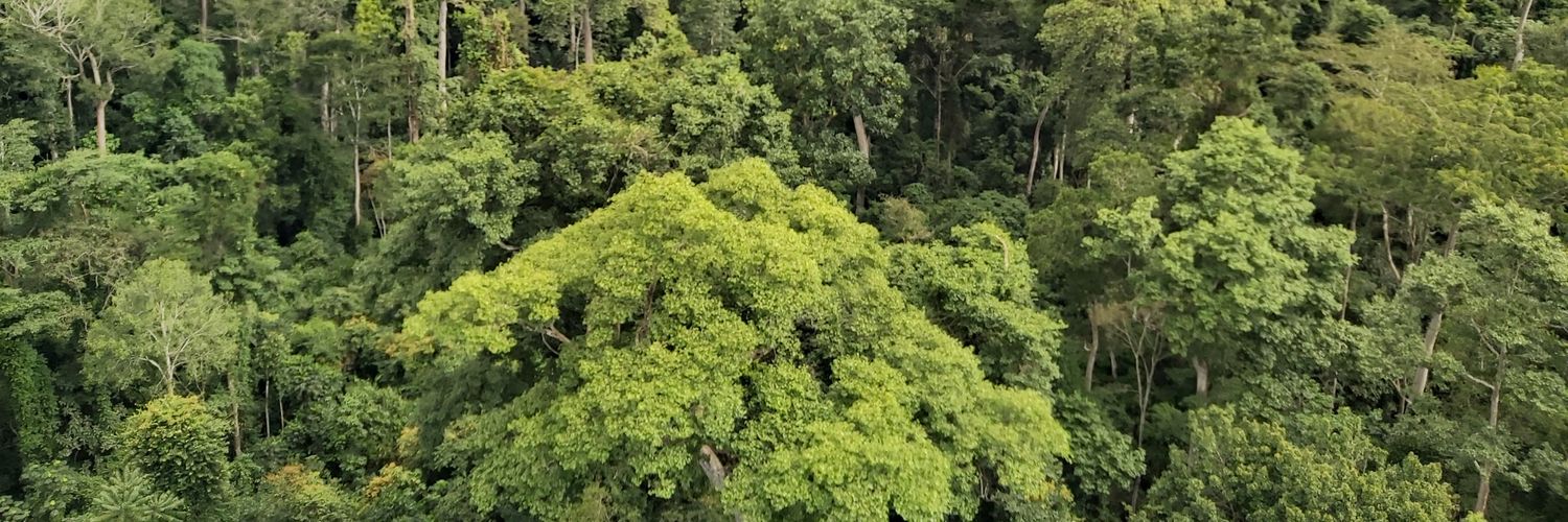 William hagan brown banner