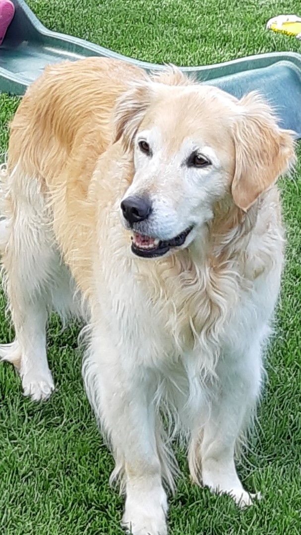 Graham Bragger 🍁 @gb1234-65.bsky.social banner