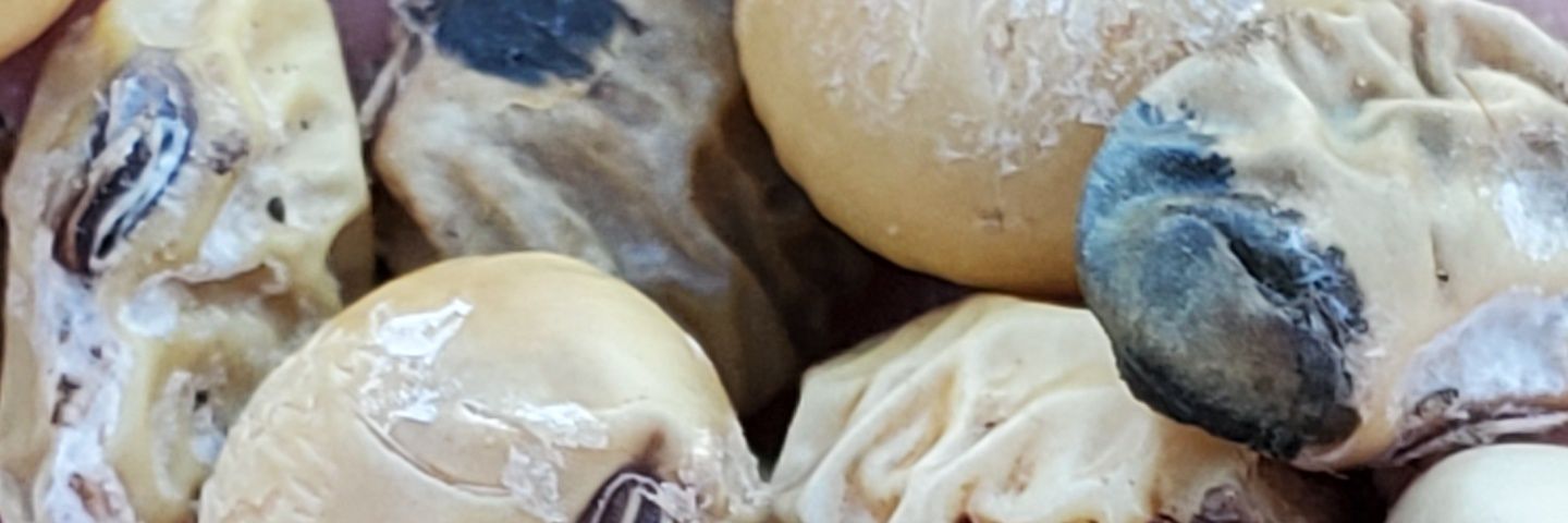 Terry Spurlock banner