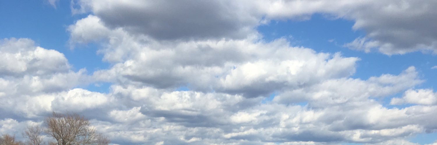 marligrasso's profile banner image