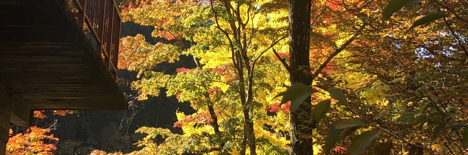 chanmao55's profile banner image
