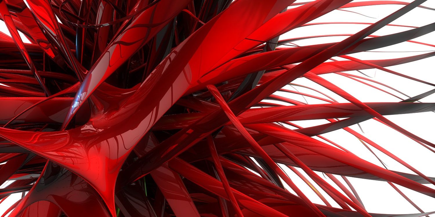 wombat_81's profile banner image