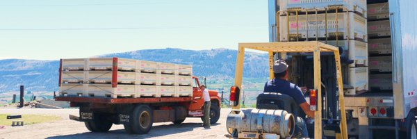 IPLMacro Profile Banner