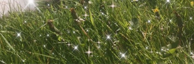 luvlnah's profile banner image