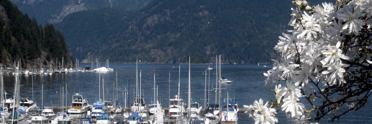 Steve Wilkinson banner