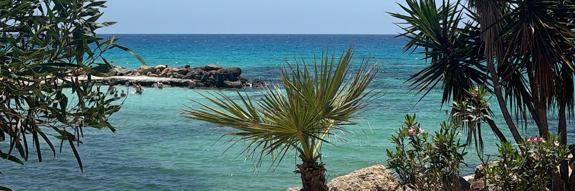 chey banner