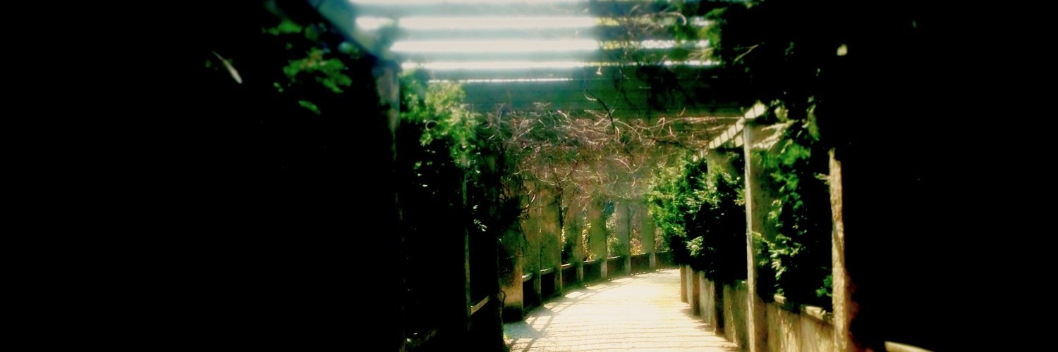 Netcube93's profile banner image