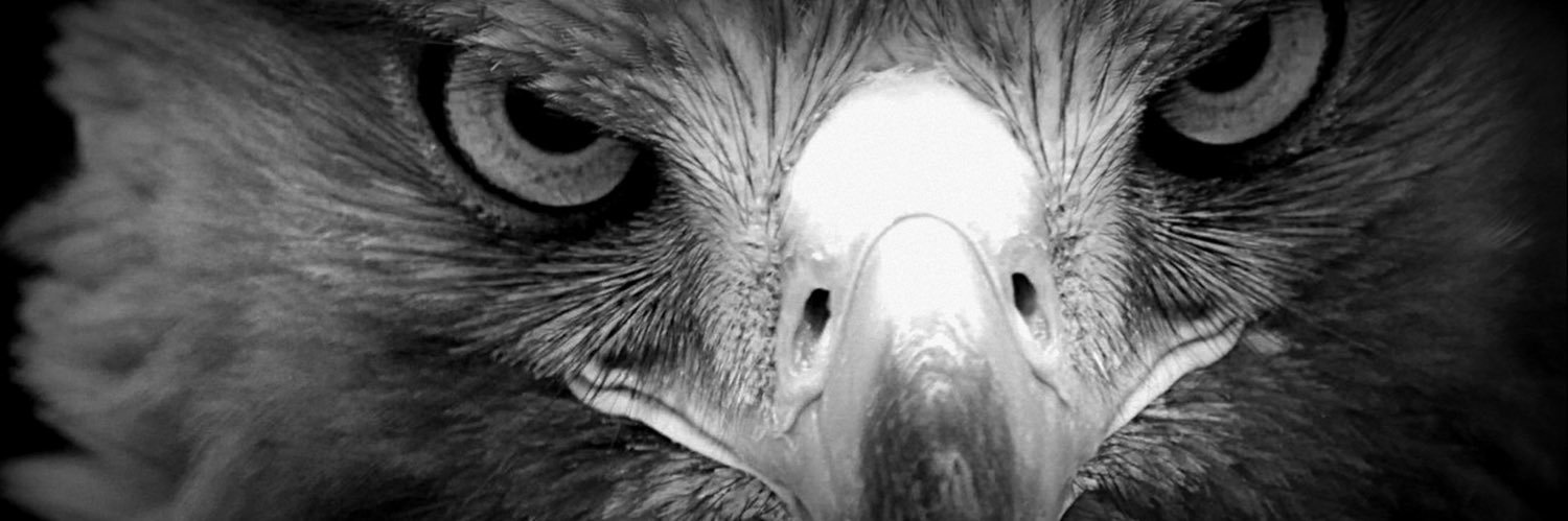 1brahimsmsk's profile banner image