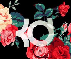 Palxsa's profile banner image