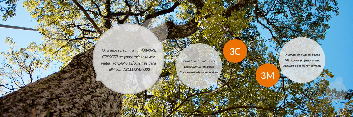 FCamara Consultoria banner