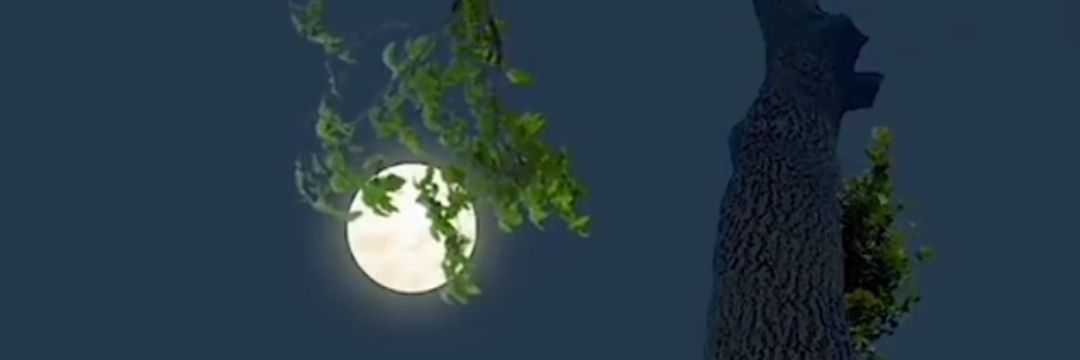 DASHMEENAA's profile banner image