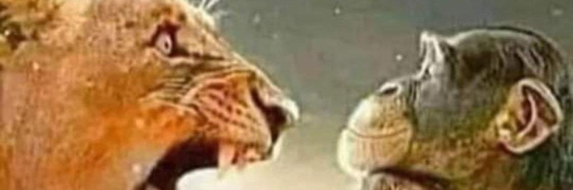 LengoStarr's profile banner image