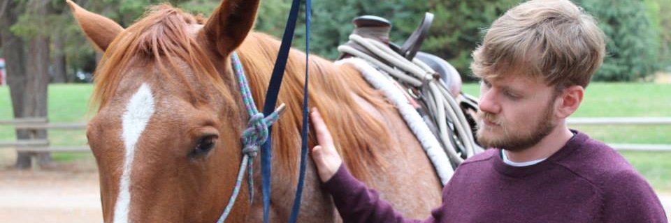 Friendly Remainder banner