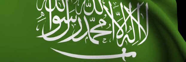 algomizi's profile banner image